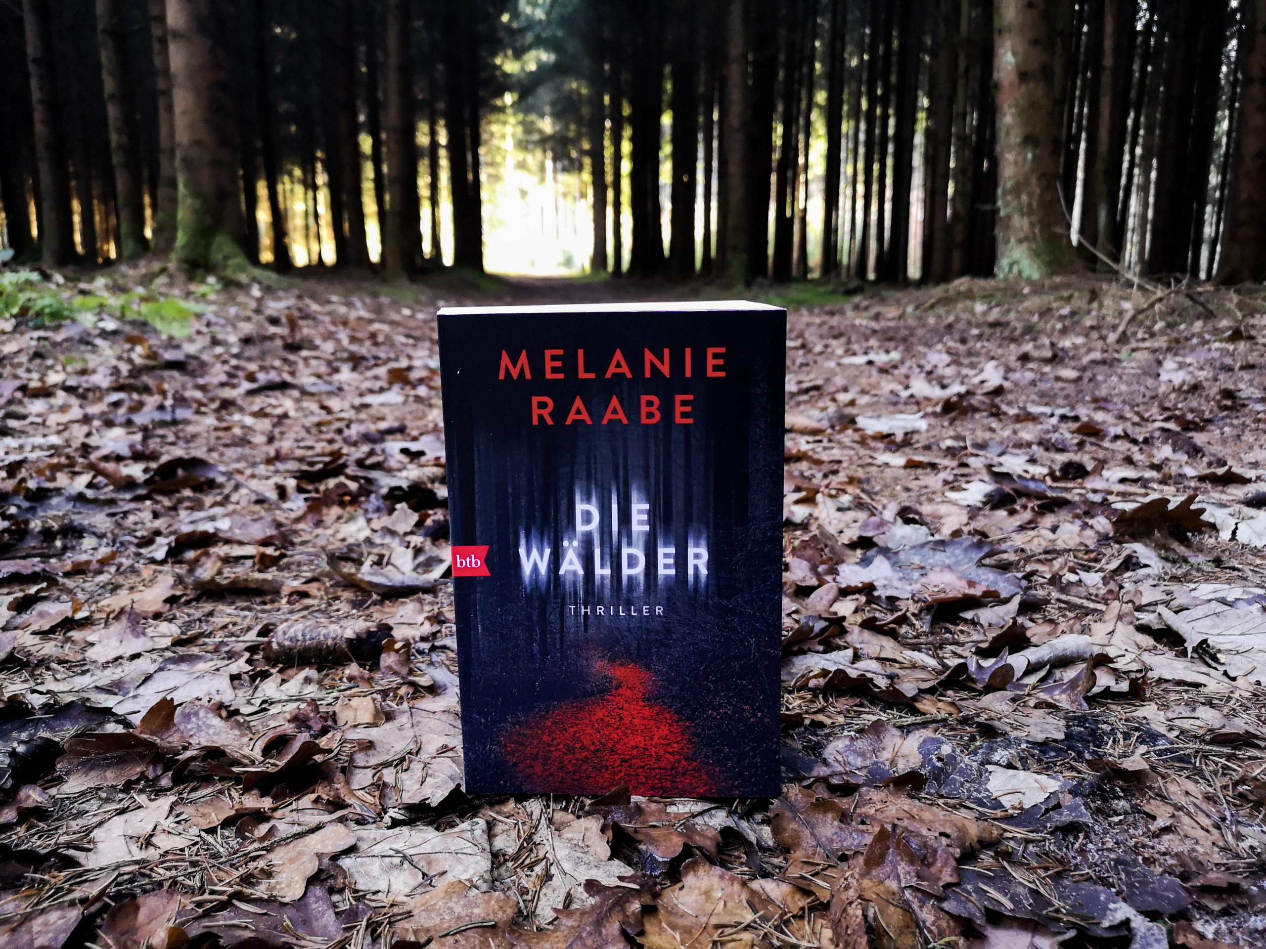 Buch Die Wälder von Melanie Raabe
